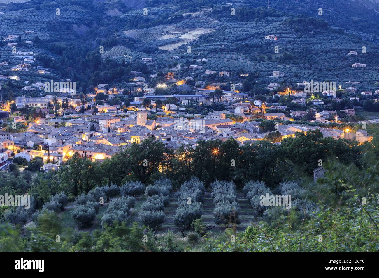 France, Drome, regional natural park of Baronnies Provençales, Buis les Baronnies, view of the village, field of olive trees in the foreground Stock Photo