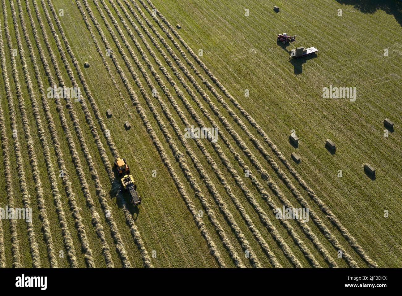 France, Bouches du Rhone, Saint Martin de Crau, hay from Crau AOC, producer Sylvain Chiapello (aerial view) Stock Photo