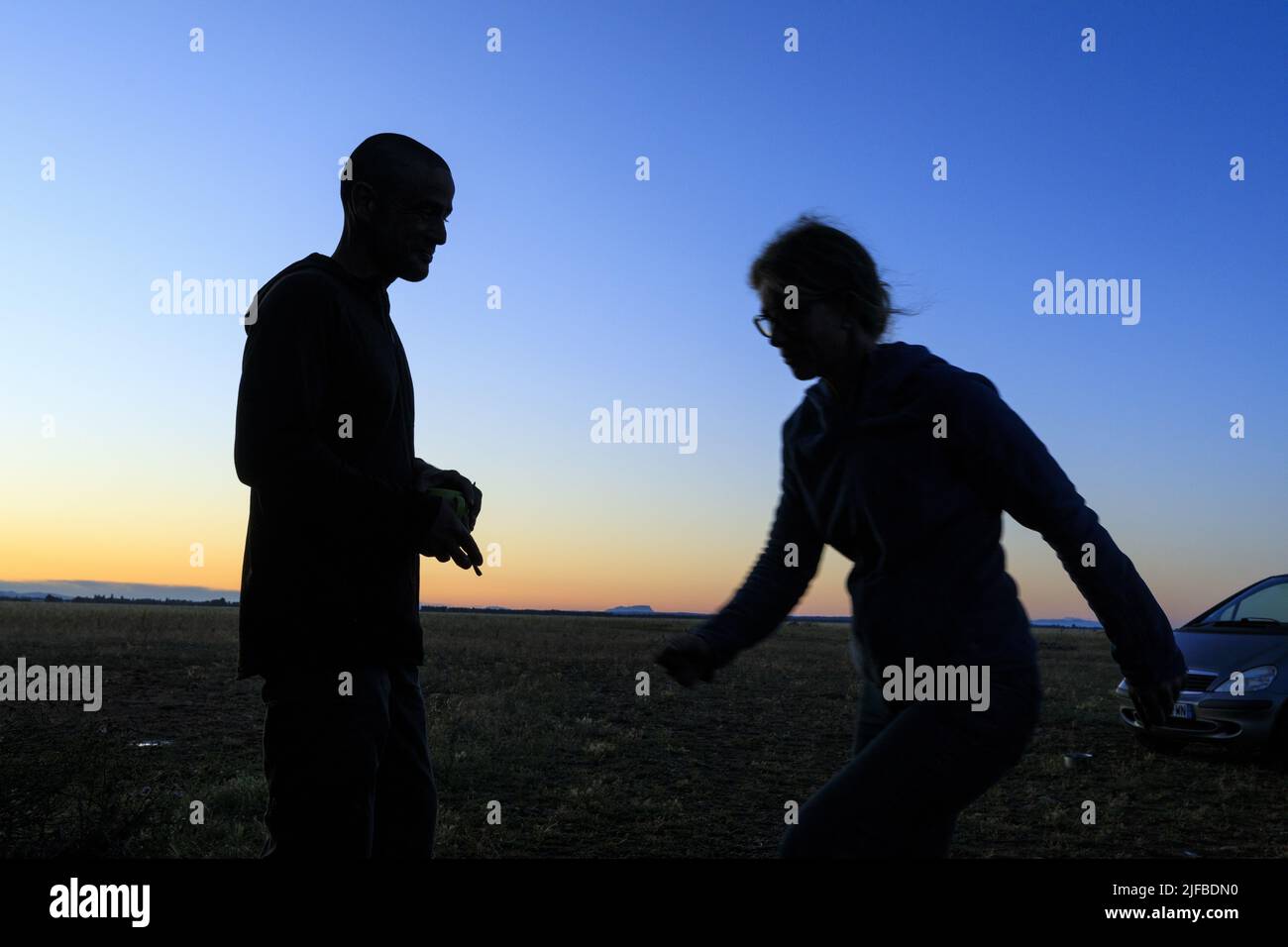 France, Bouches du Rhone, Saint Martin de Crau, Coussouls de Crau