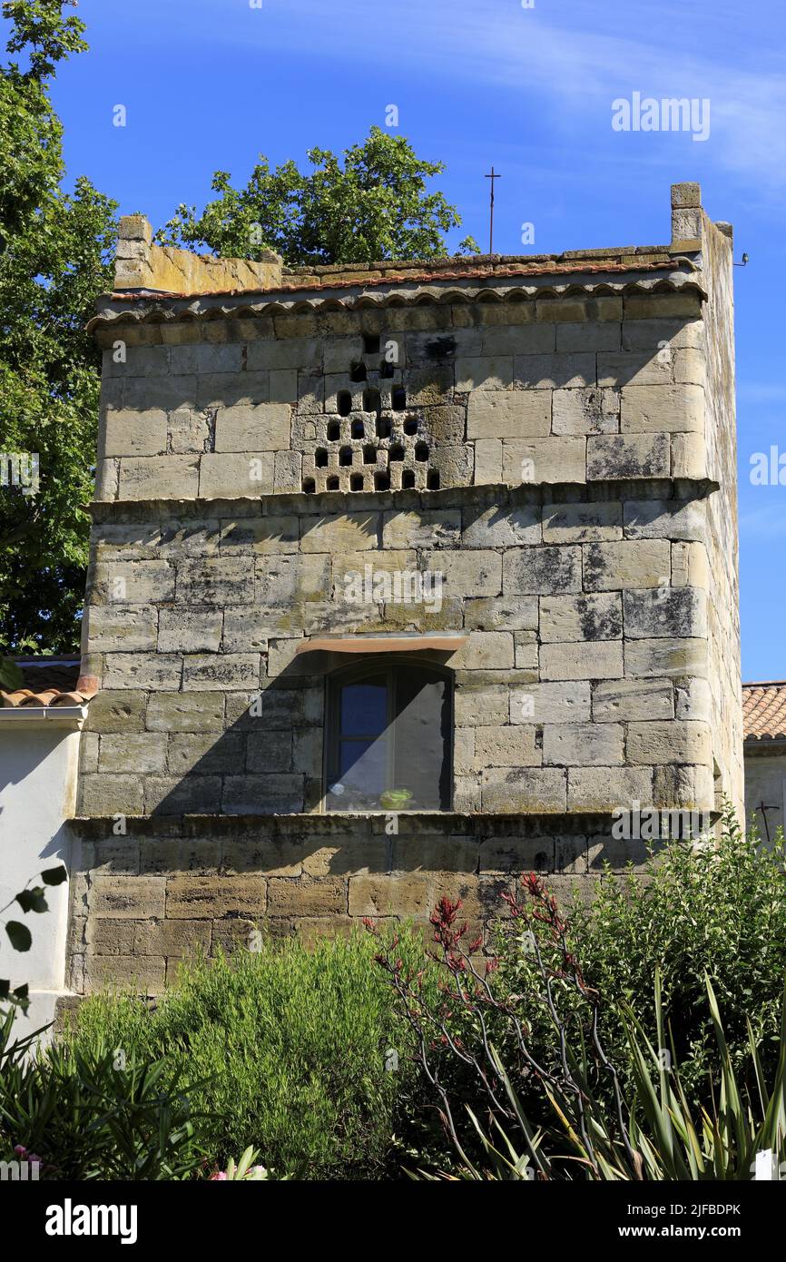 france-bouches-du-rhone-regional-natural-park-of-camargue-arles