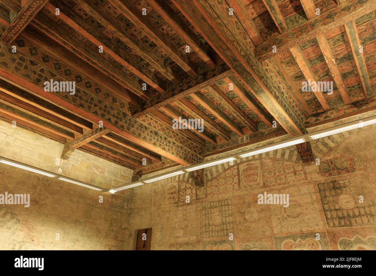 France, Vaucluse, Avignon, rue Laboureur, Livrée Ceccano, cardinalice palace (14th century), today municipal library, ceilings and wall decorations in the reading rooms Stock Photo