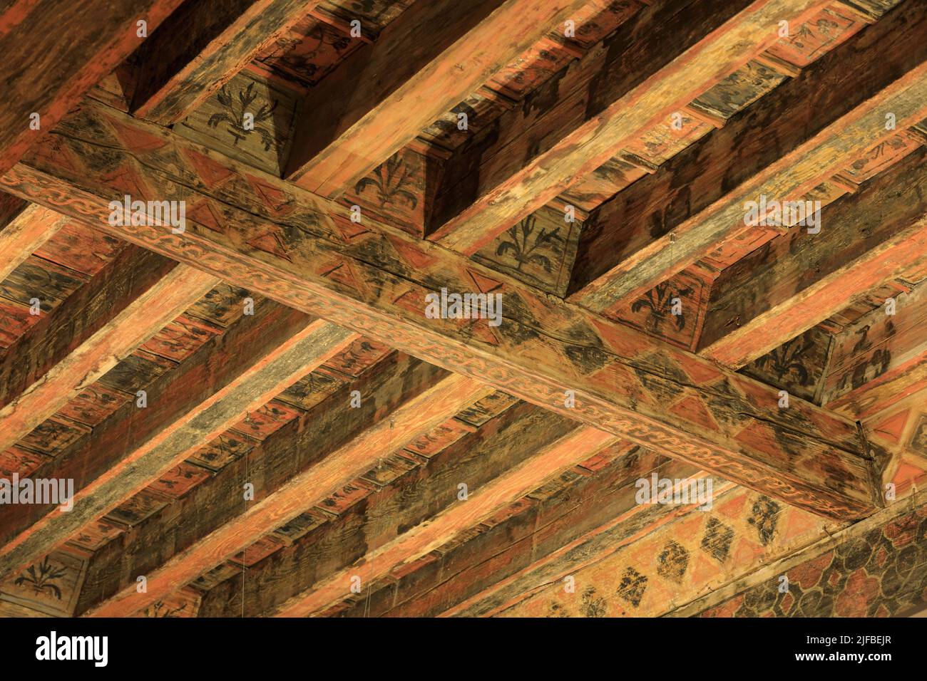 France, Vaucluse, Avignon, rue Laboureur, Livrée Ceccano, cardinalice palace (14th century), today municipal library, ceilings and wall decorations in the reading rooms Stock Photo