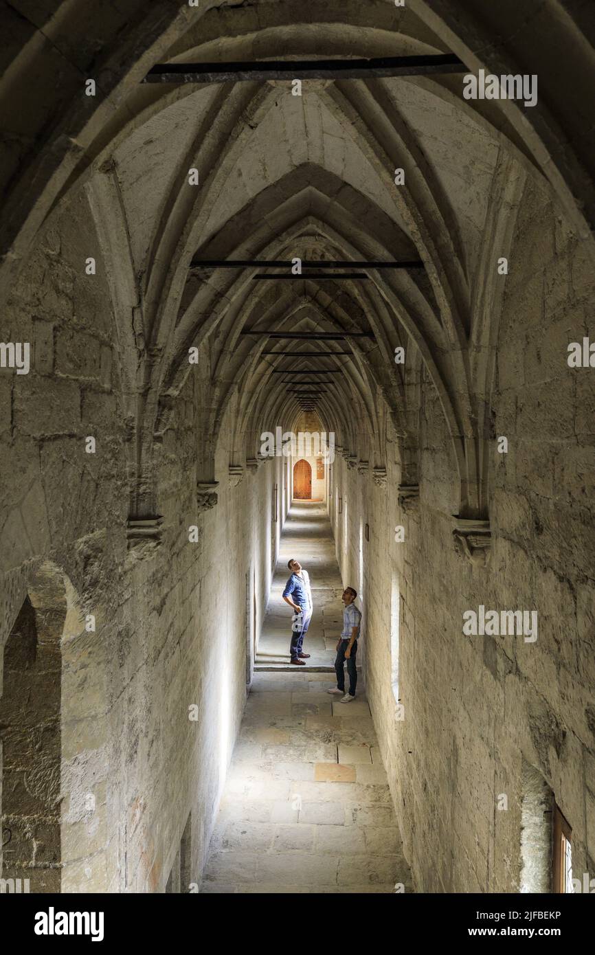 France, Vaucluse, Avignon, Palais des Papes (14th century) listed as World Heritage by UNESCO, gallery of the Conclave Stock Photo