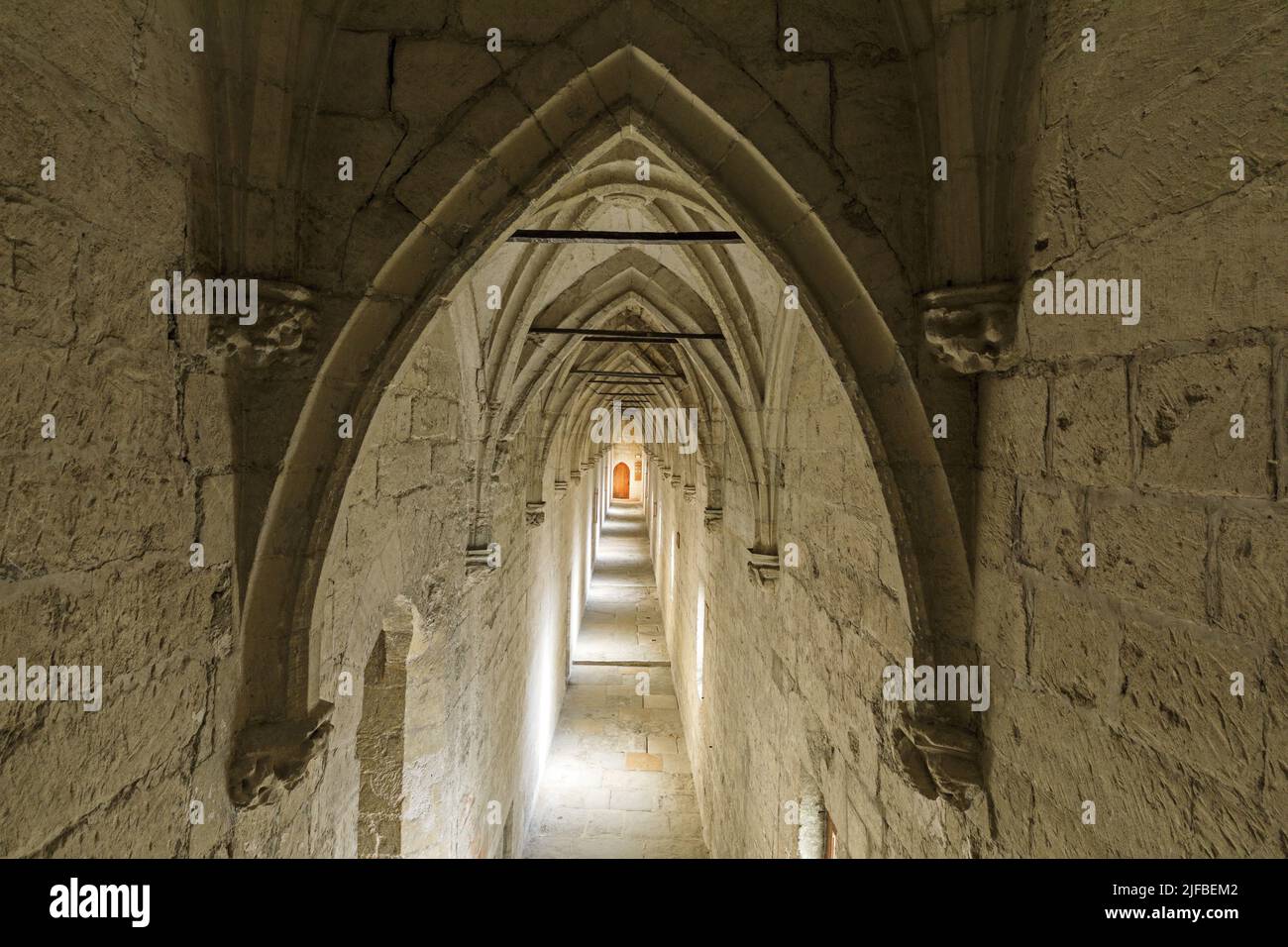 France, Vaucluse, Avignon, Palais des Papes (14th century) listed as World Heritage by UNESCO, gallery of the Conclave Stock Photo