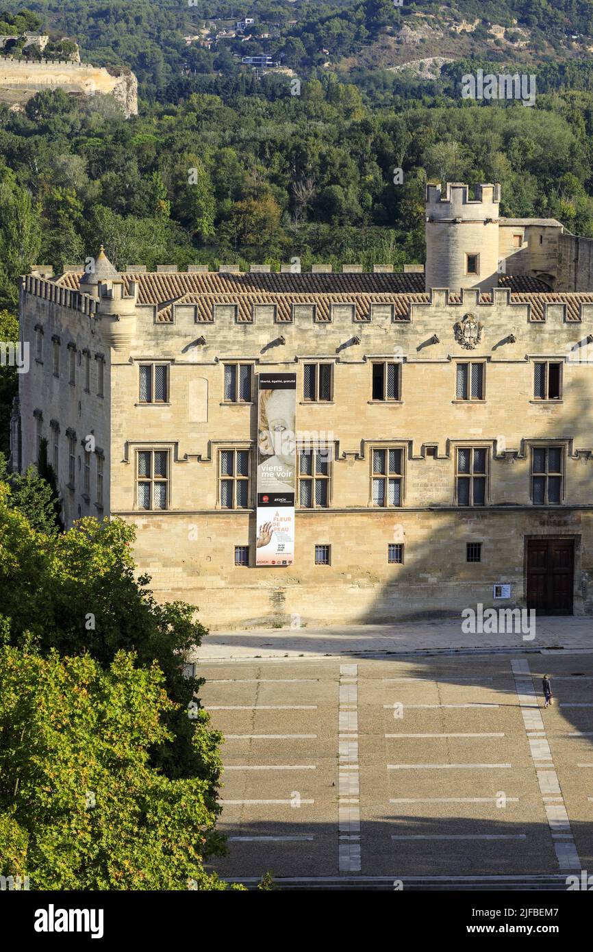 musée du petit palais avignon france