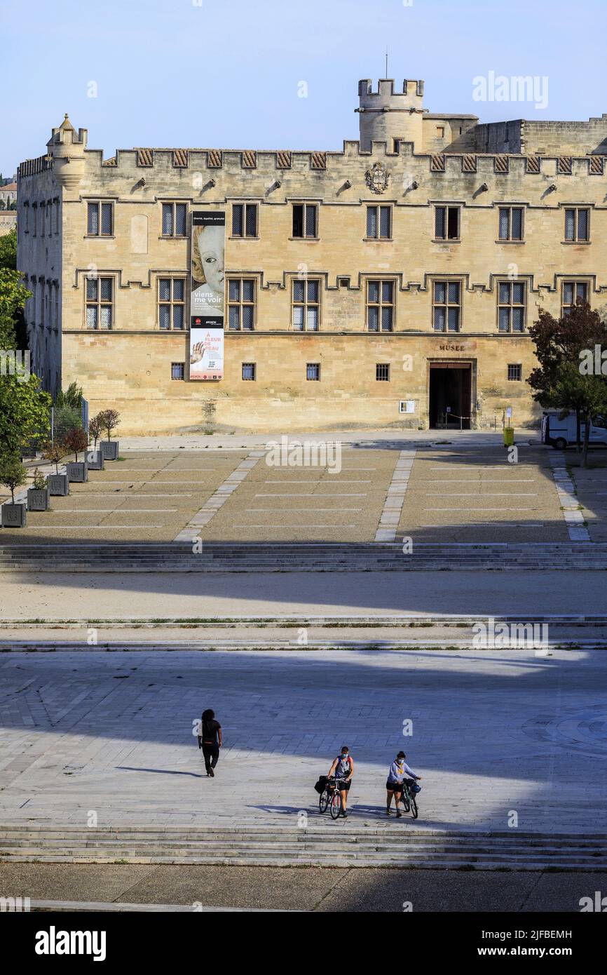 France, Vaucluse, Avignon, place du Palais, Petit Palais museum, dedicated to medieval painting and sculpture, listed as a Historic Monument Stock Photo