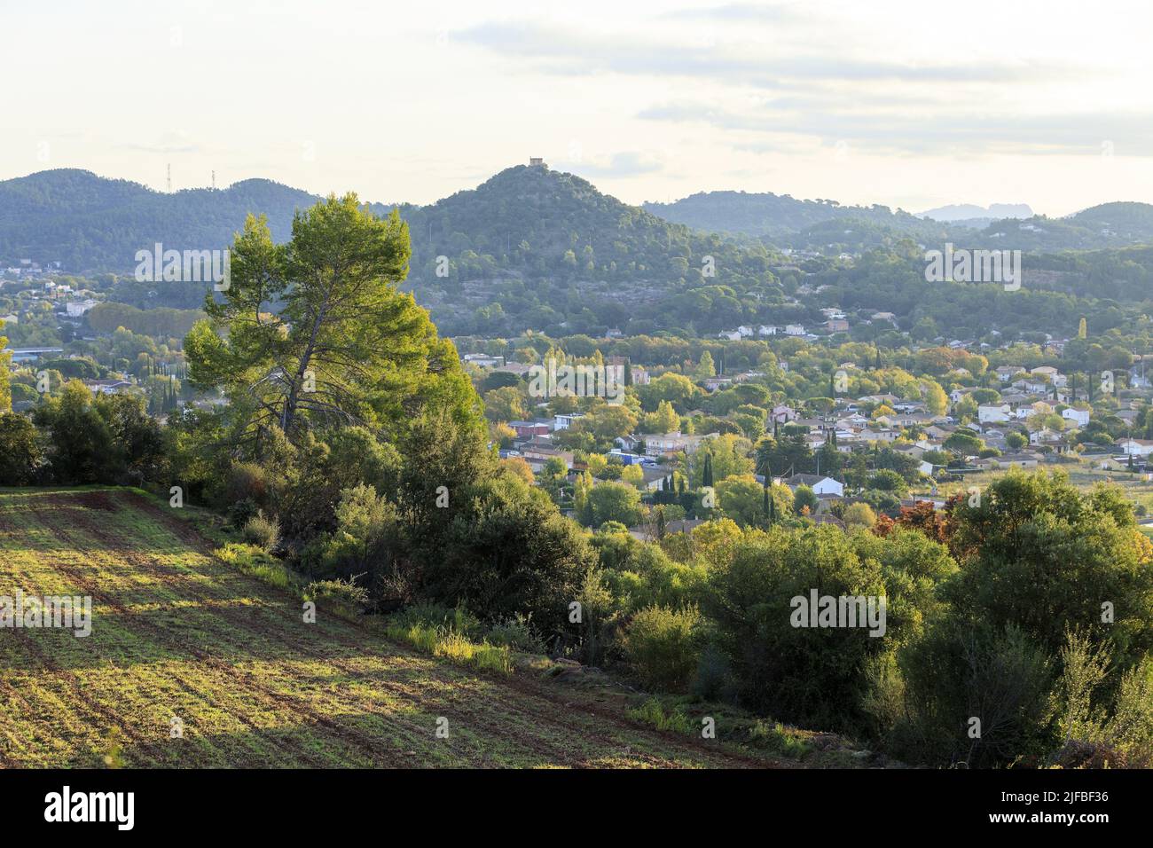 France, Var, Dracenie, Vidauban, view of the village and the hill from