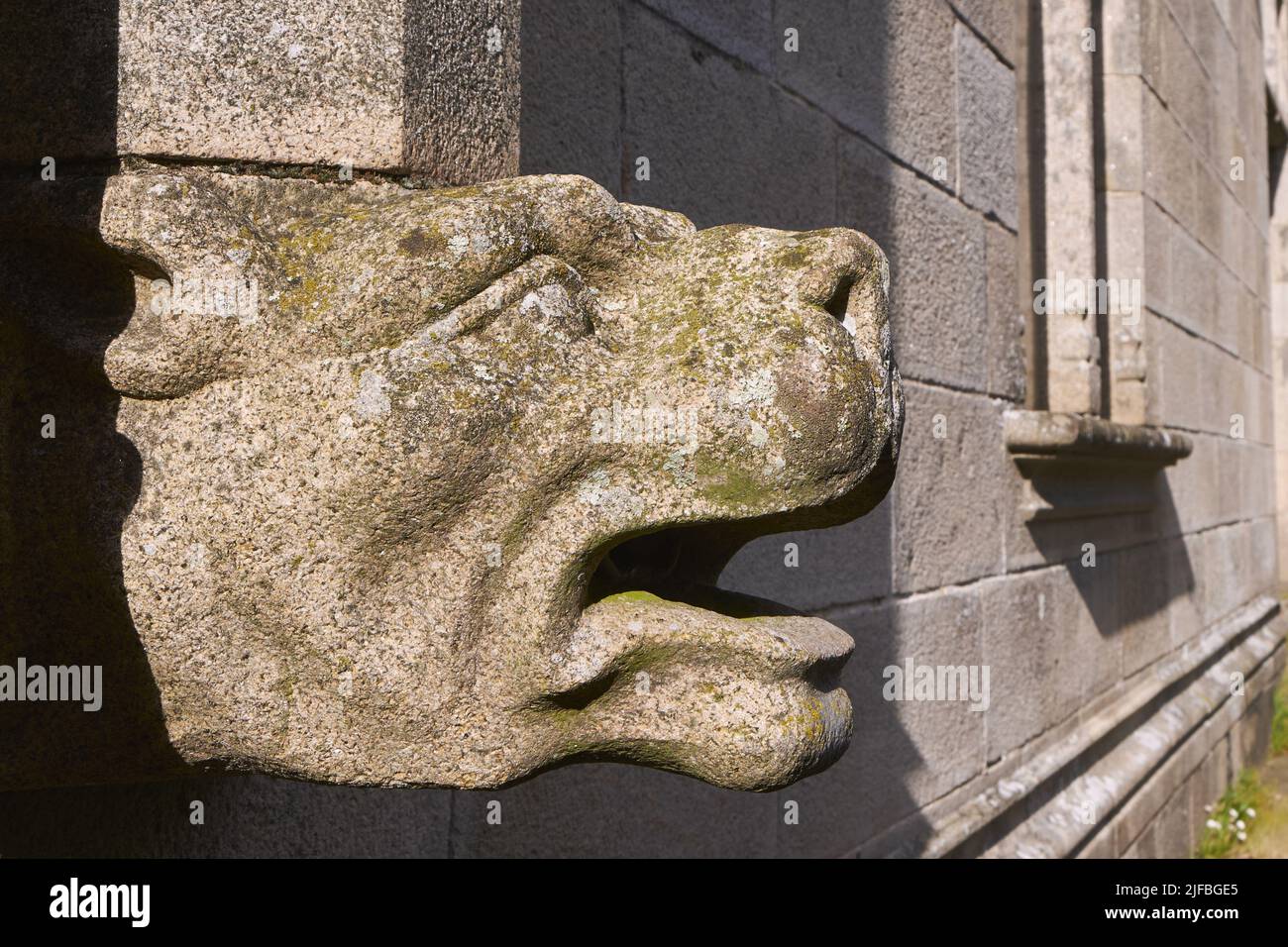 France, Loire Atlantique, Orvault, La Tour Castle from the 12th century, gargoyle representing a dog Stock Photo