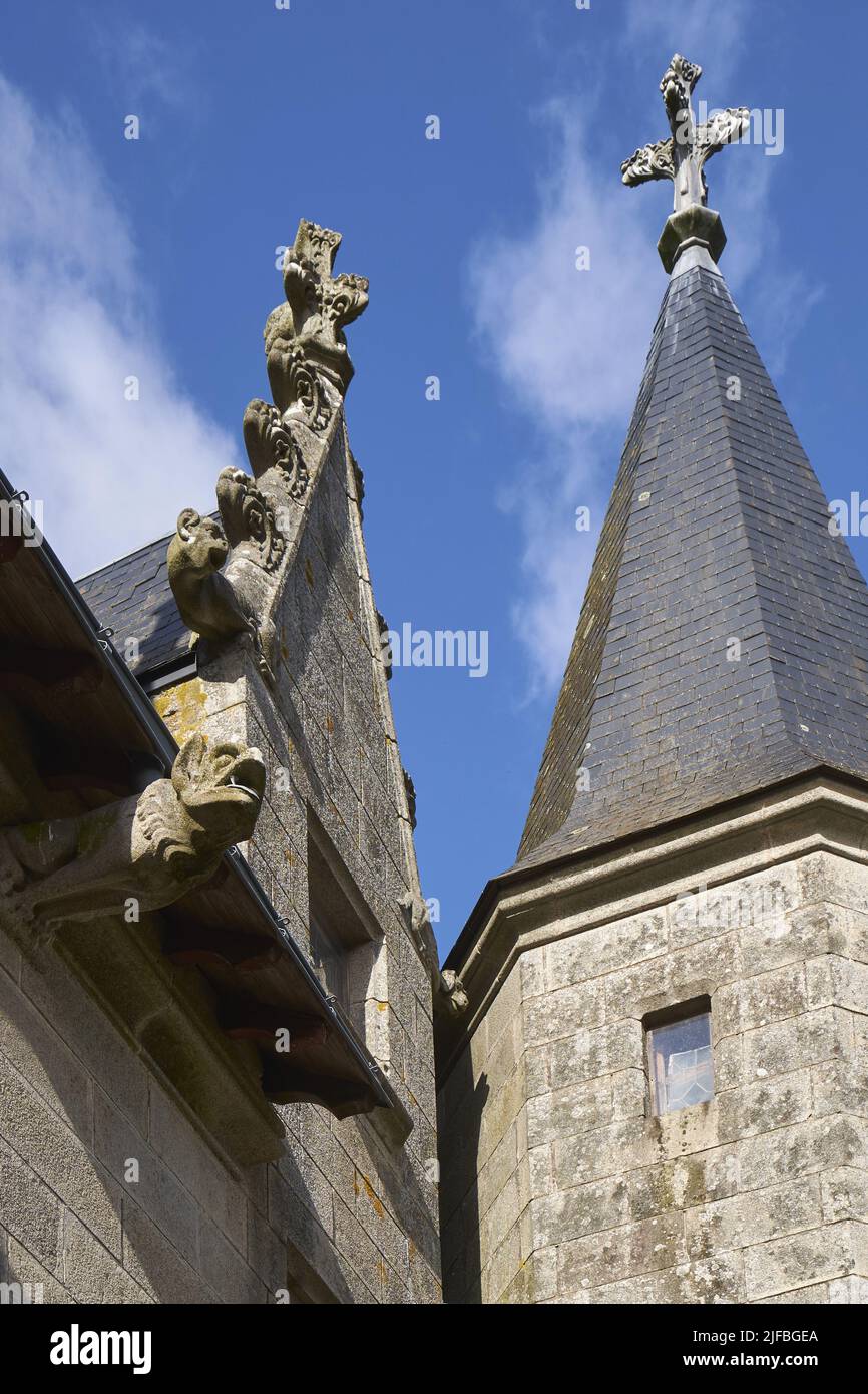 France, Loire Atlantique, Orvault, the roofs of La Tour Castle Stock Photo