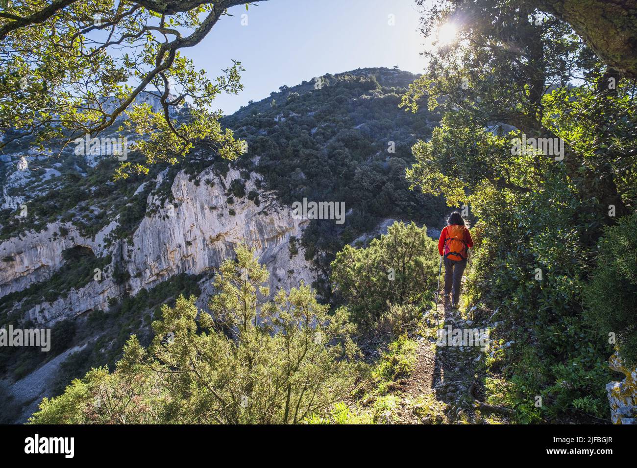 France, Vaucluse, Luberon regional nature park, hike starting from Oppede-le-Vieux, Combrès Valley Stock Photo