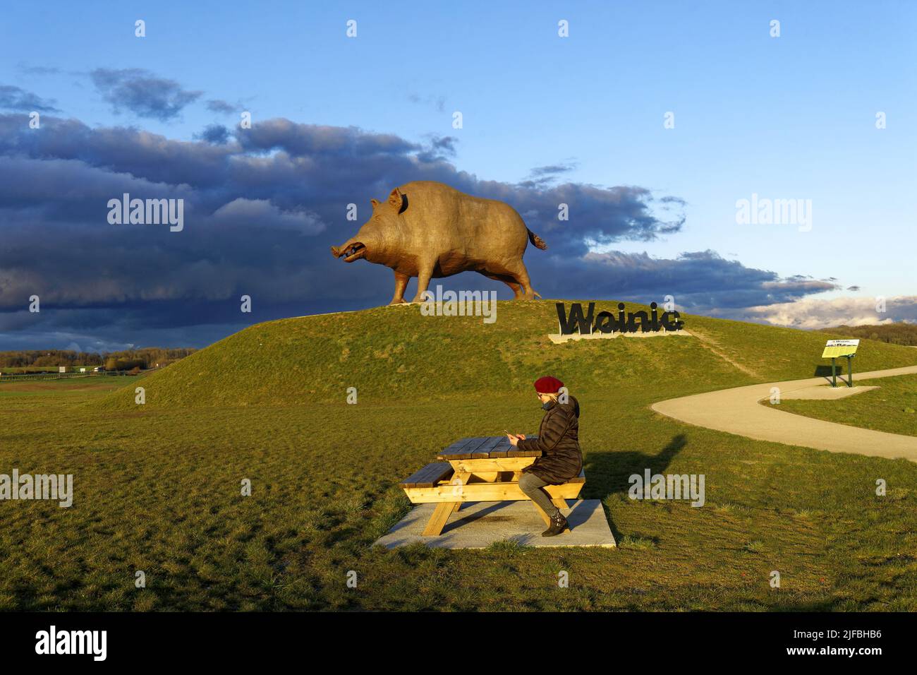 France, Ardennes, Saulces Monclin, Woinic, the largest boar in the world, monumental sculpture of 50 tonnes and measuring 14 meters by sculptor Eric Sleziak between 1983 and 1993 Stock Photo