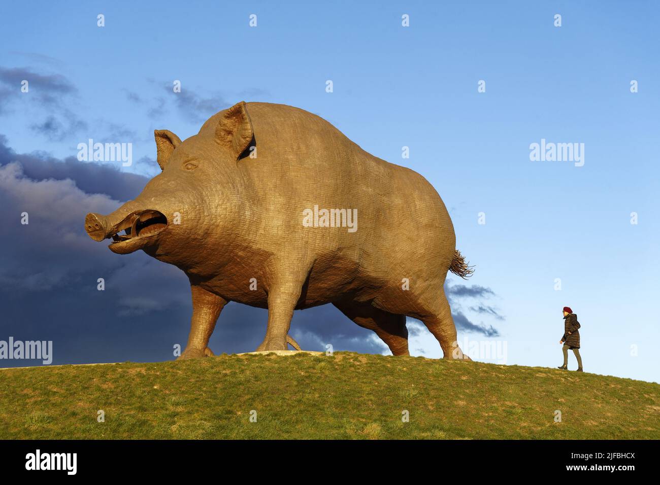 France, Ardennes, Saulces Monclin, Woinic, the largest boar in the world, monumental sculpture of 50 tonnes and measuring 14 meters by sculptor Eric Sleziak between 1983 and 1993 Stock Photo