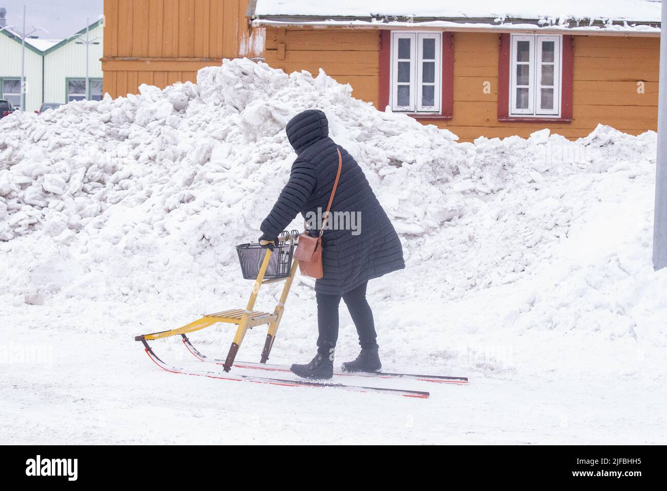 Norway, Varanger Fjord, Vardo, moving with a sledge Stock Photo