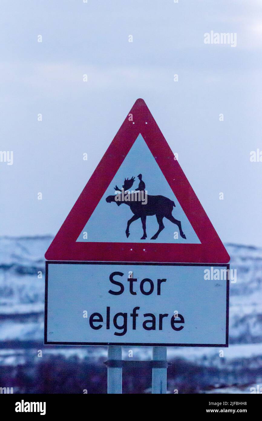 Norway, Varanger fjord, information panel for the prevention of collisions with wild animals on the road, here the elk (Alces alces) Stock Photo