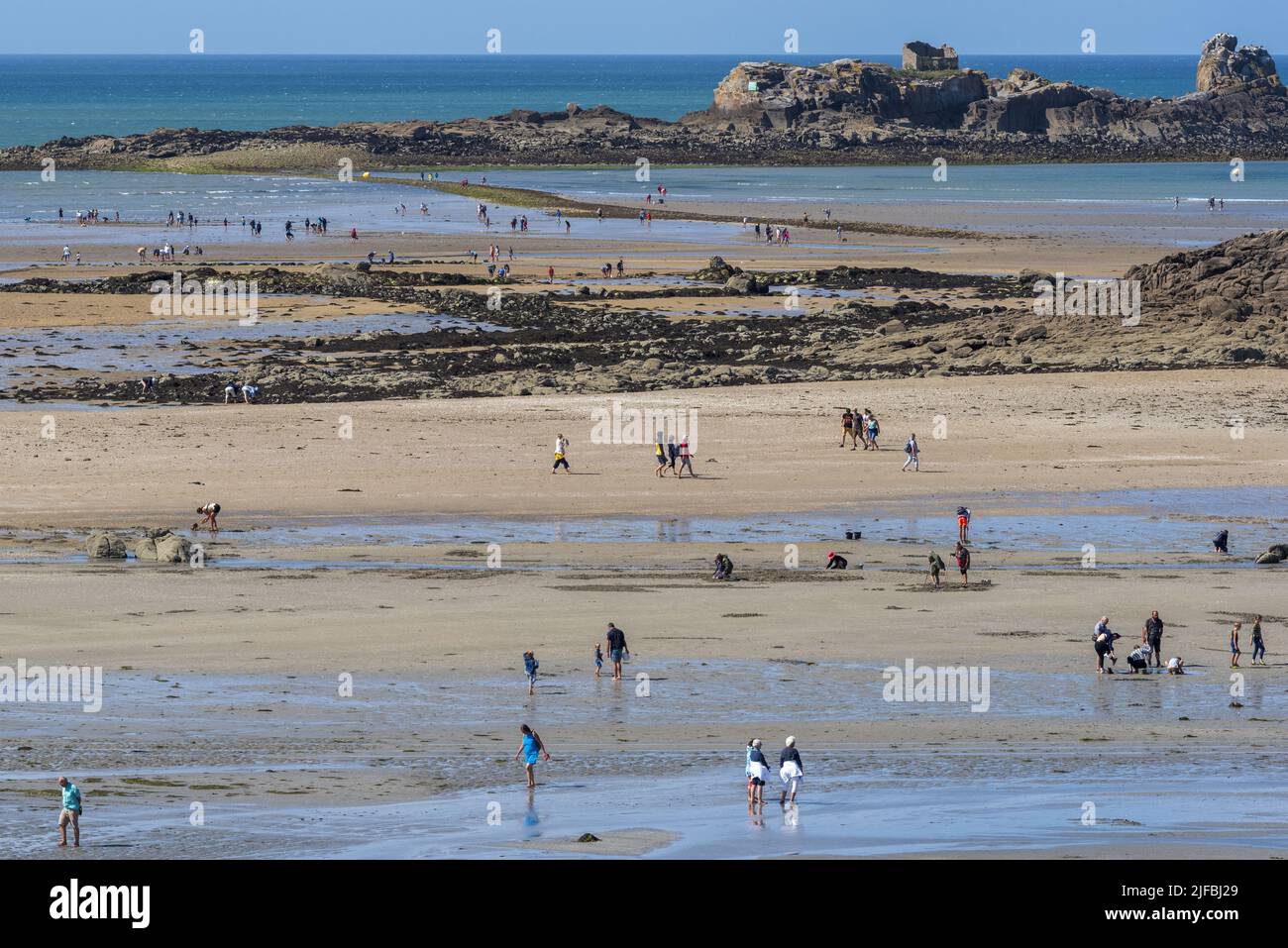 France, Cotes d'Armor, Saint Jacut de la Mer, Pointe du Chevet, beach,  fishing, low tide Stock Photo - Alamy