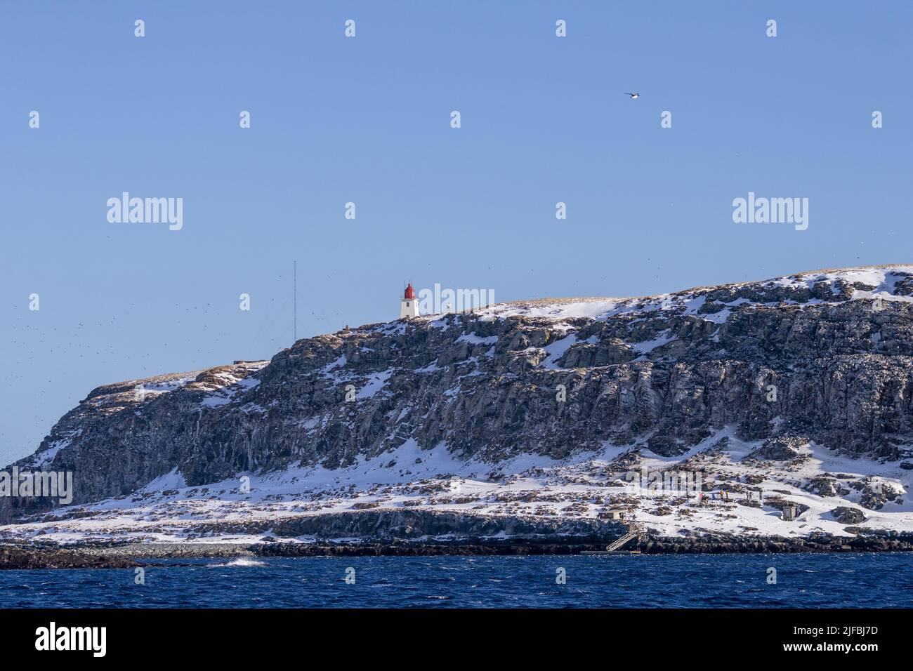 Norway, Varanger Fjord, Vardø or Vardo, Island of Hornøya, protected island with large colonies of seabirds Stock Photo