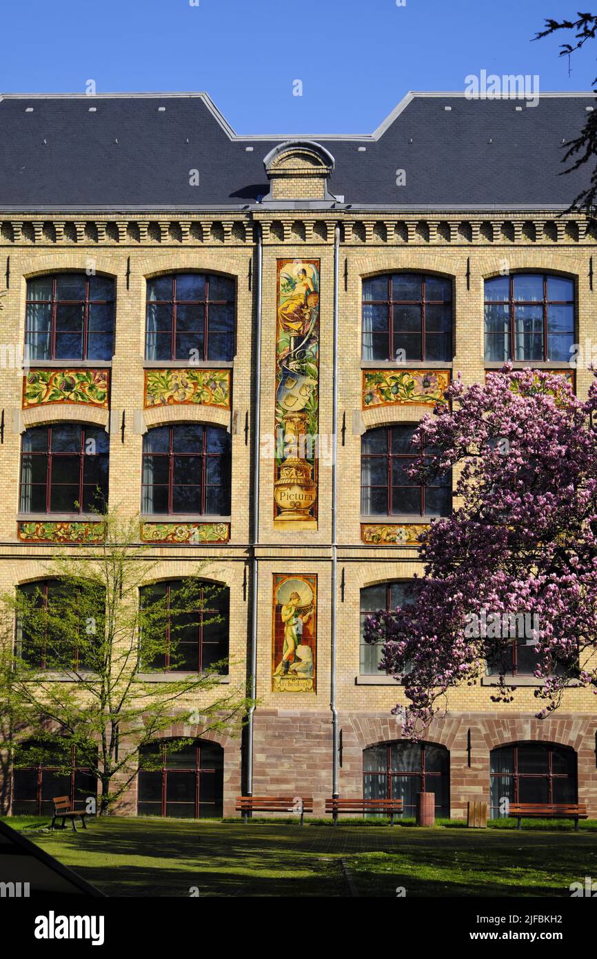 France, Bas Rhin, Strasbourg, Rue de l Academie, School of Decorative Arts, 1892, facade, park, Magnolia, flowers Stock Photo