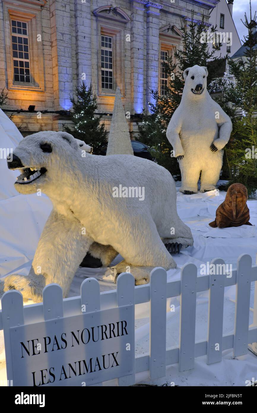 France, Doubs, Montbeliard, Place Saint Martin, Saint Martin temple, polar bear, Christmas decorations and illuminations Stock Photo