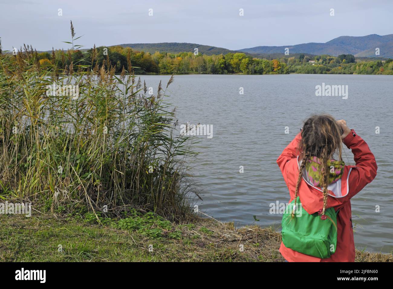 France, Territoire de Belfort, Sermamagny, trail of the Etangs du Malsaucy et de la Veronne, Malsaucy pond, girl observing birds through binoculars Stock Photo