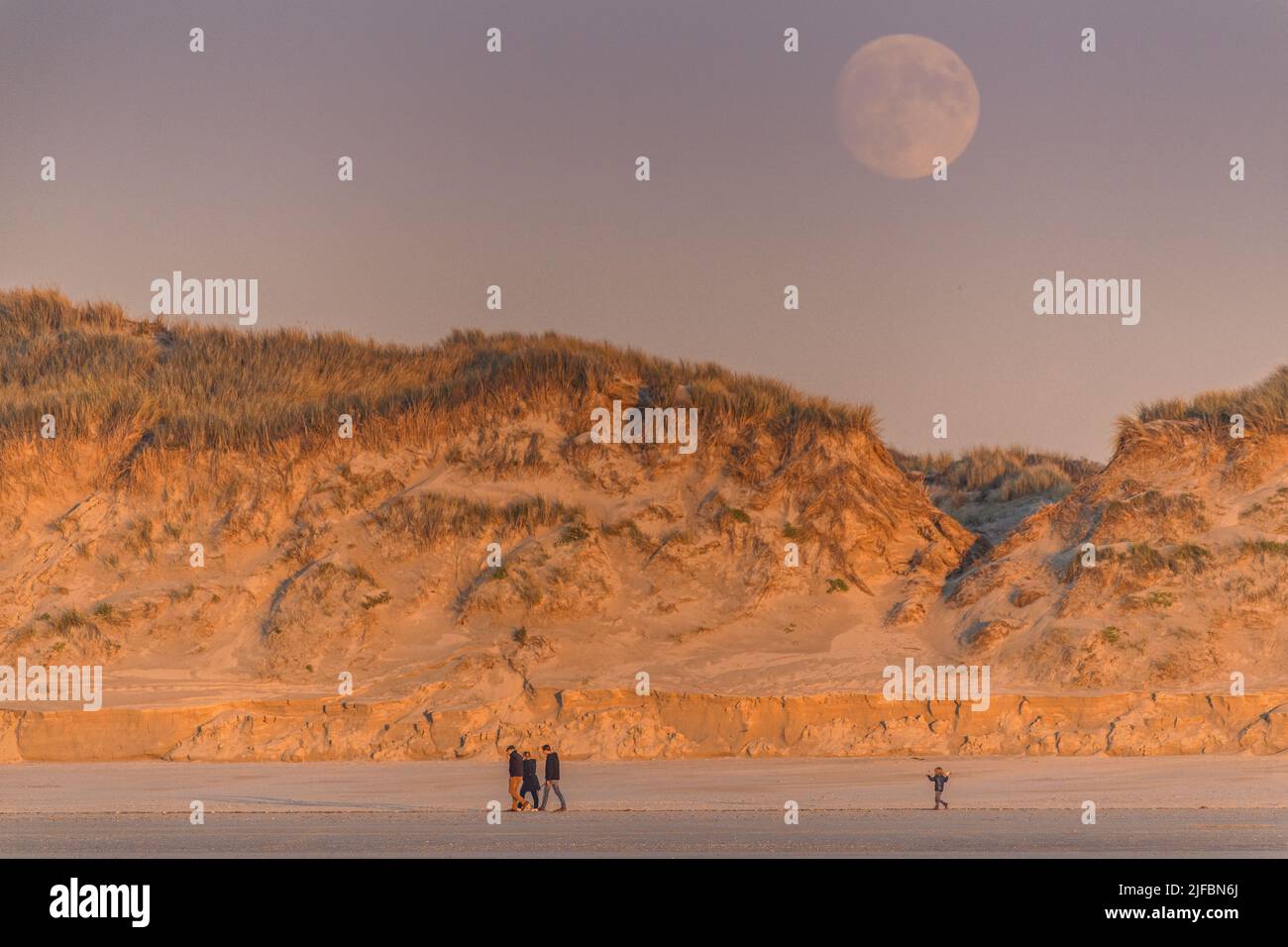 France, Somme,Quend-Plage, Moonrise on the dunes Stock Photo