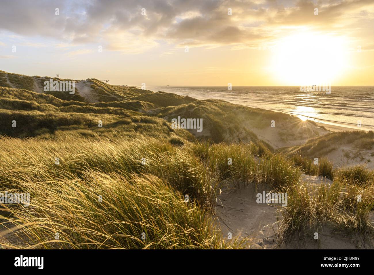 France, Somme, Baie de Somme, Saint-Valery-sur-Somme, The dunes of Marquenterre between Fort-Mahon and the Baie d'Authie at sunset Stock Photo