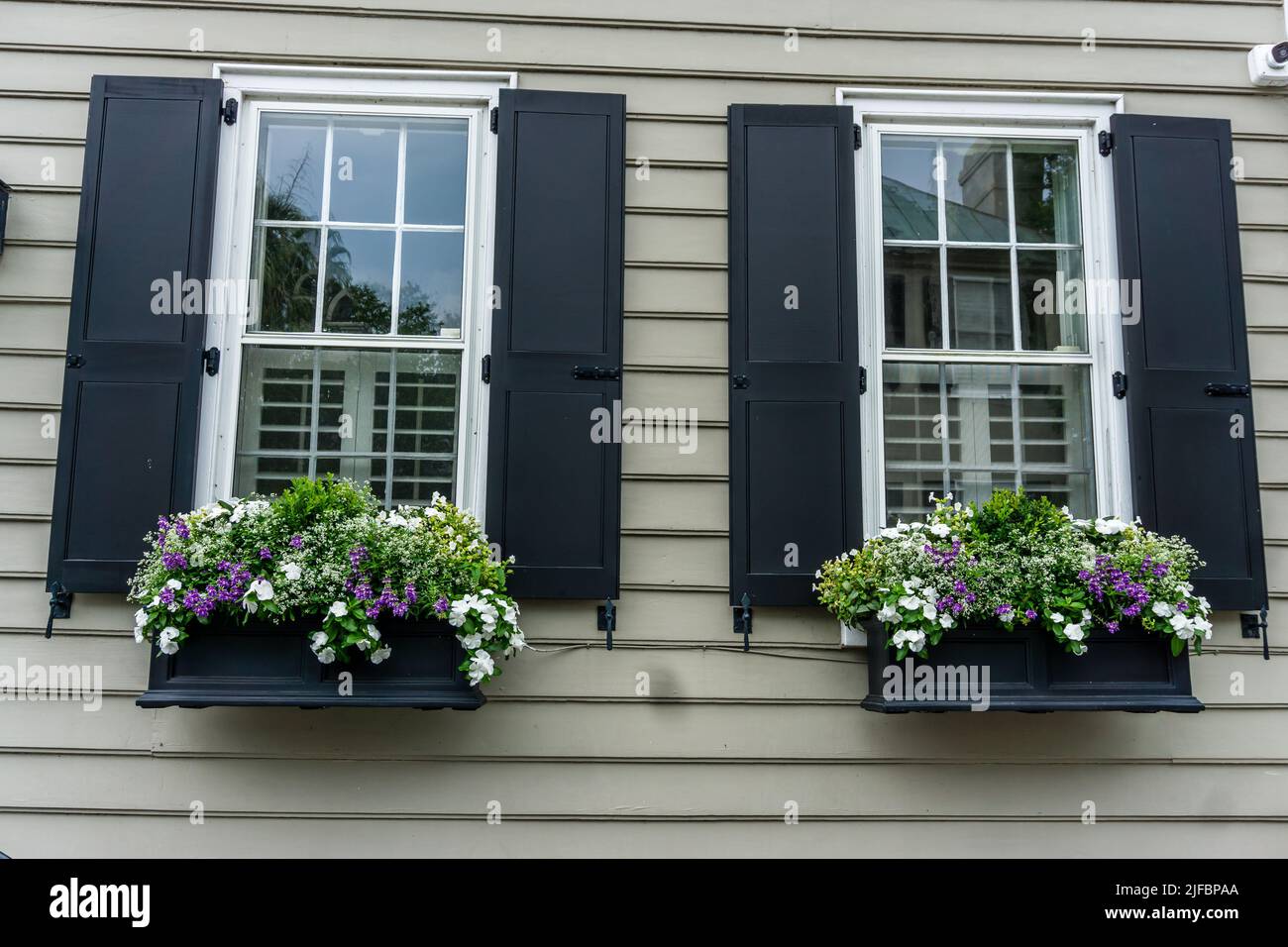 Window planters in Charleston, South Carolina Stock Photo Alamy