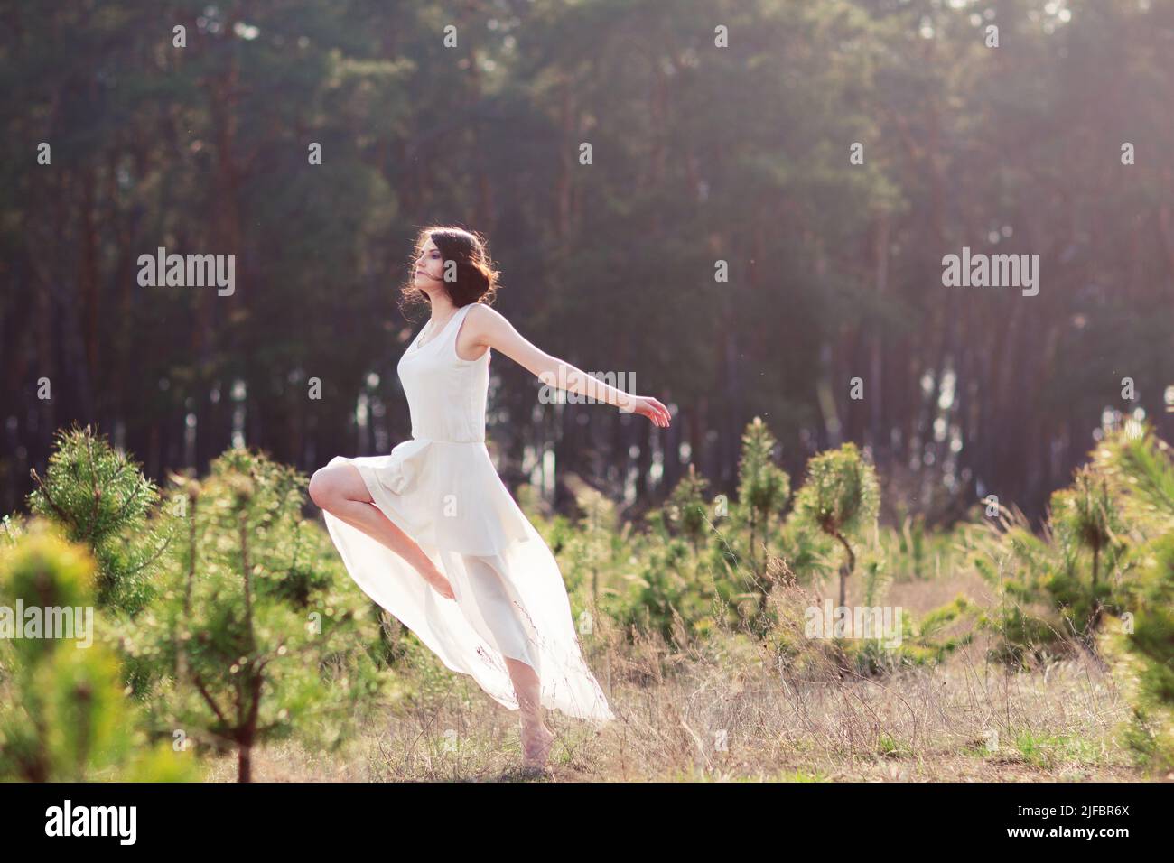 Contemporary dances in nature Stock Photo Alamy