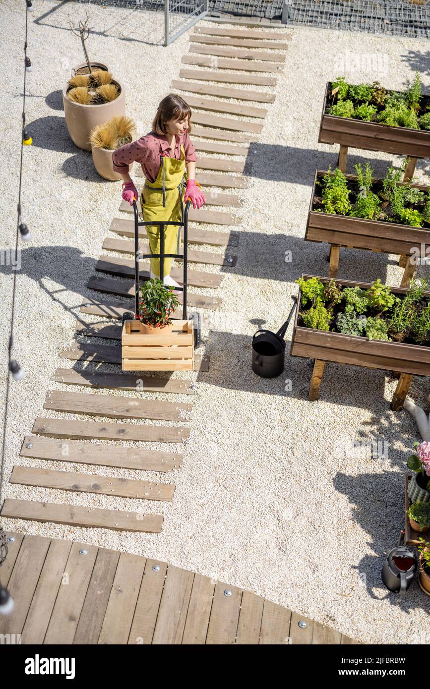 Wheelbarrow vegetable garden gardening hires stock photography and