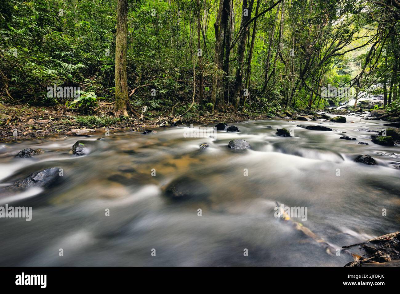 Long exposure shot of a tropical river in the Doi Inthanon national park, Thailand Stock Photo