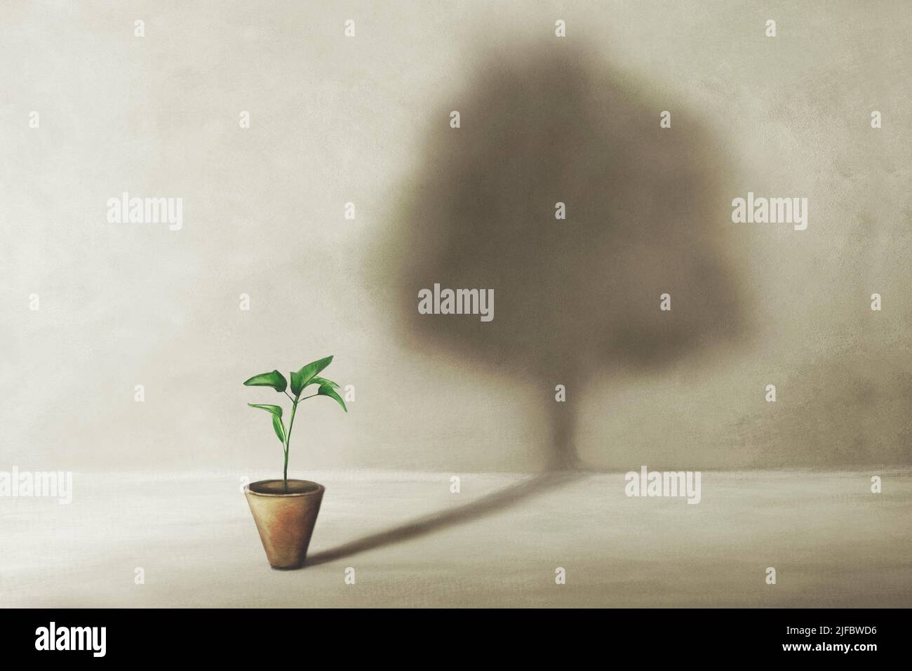 birth of a small plant with surreal shadow of a large tree, concept of life Stock Photo