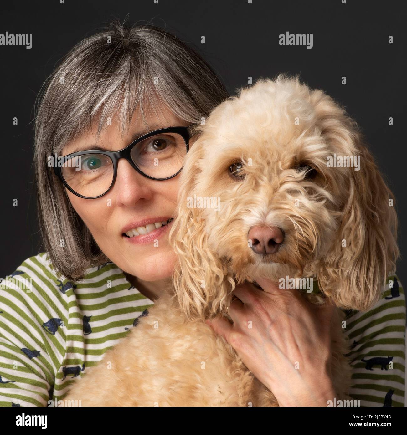 Studio portrait of a blonde Cockapoo dog with middle aged caucasian female with grey hair. Stock Photo