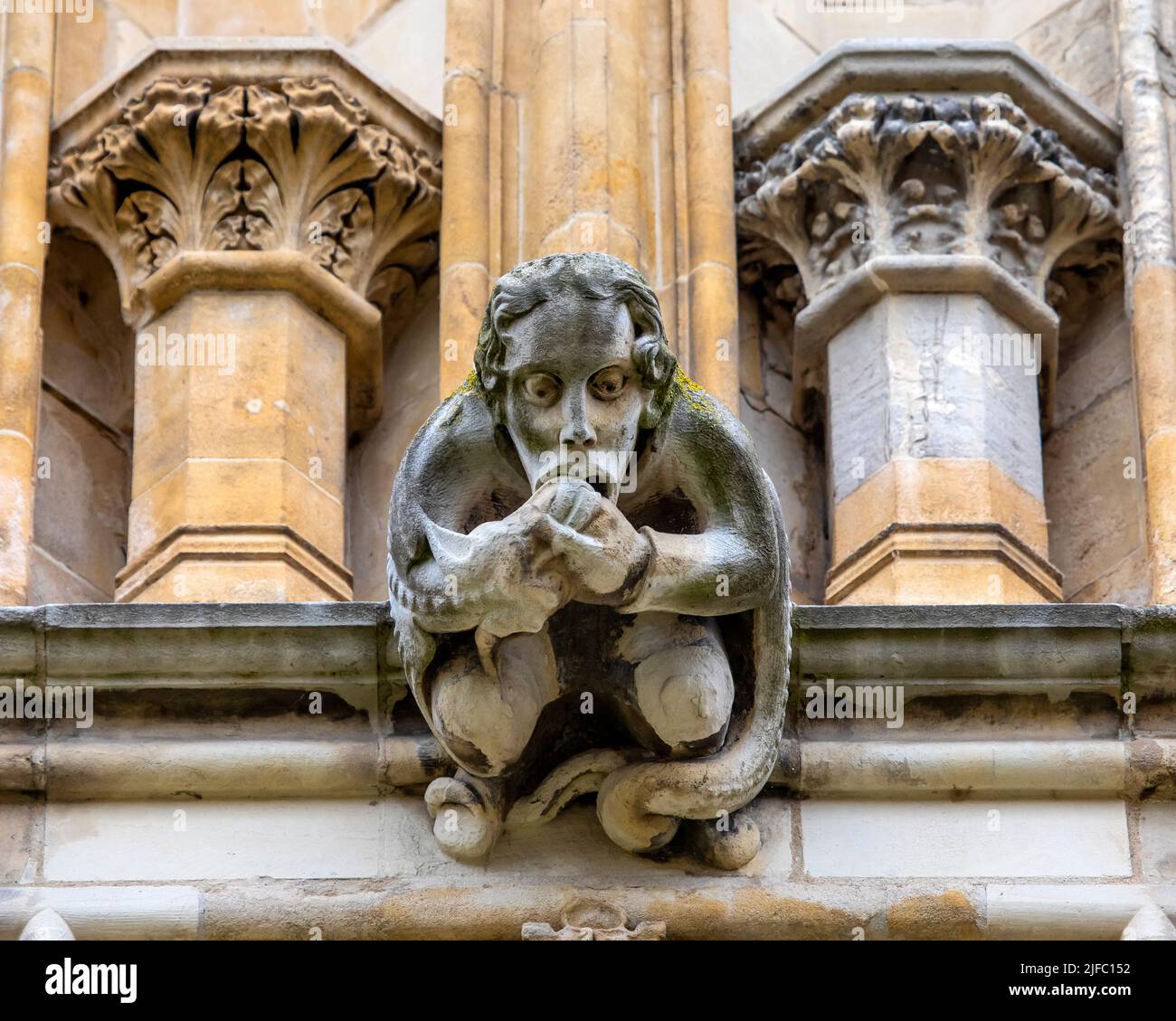 A gargoyle on the exterior of the historic York Minster in the city of York, UK. Stock Photo