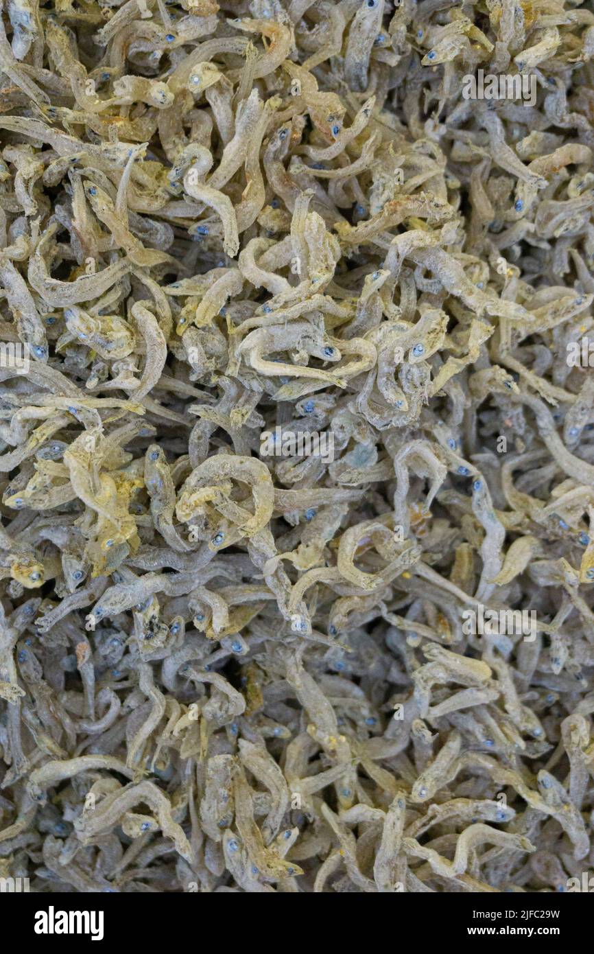 Korean traditional food dried anchovies Stock Photo Alamy