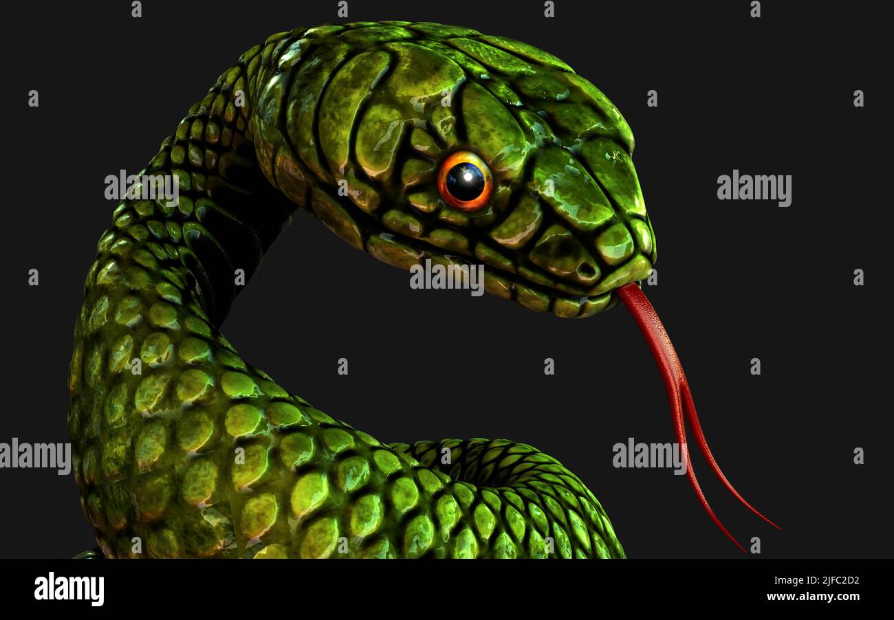 3d Illustration green snake on dark black background, Close up shot, 3d rendering model with clipping path. Stock Photo