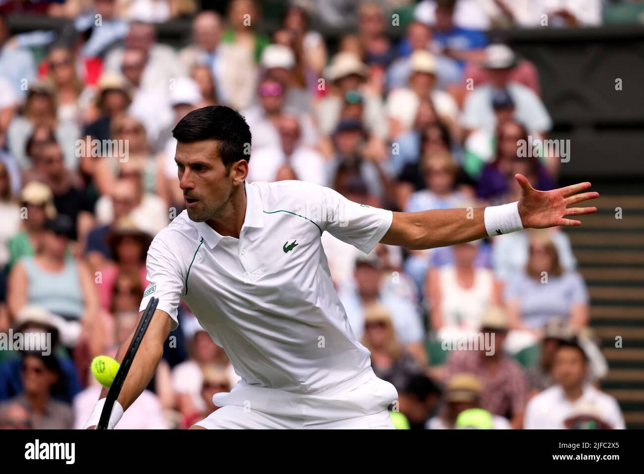 Djokovic hi-res stock photography and images - Alamy