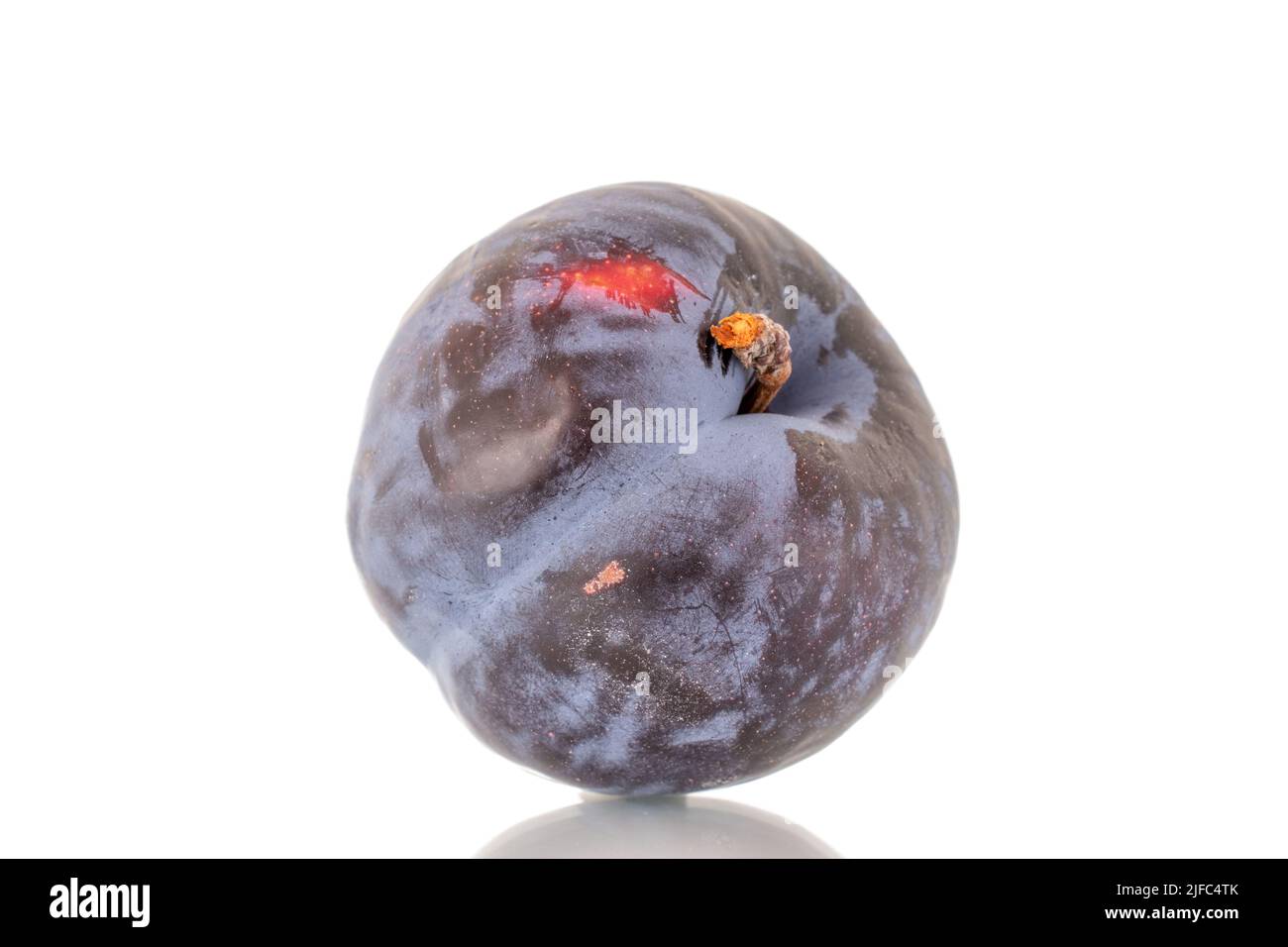 One ripe black plum, close-up, isolated on a white background. Stock Photo