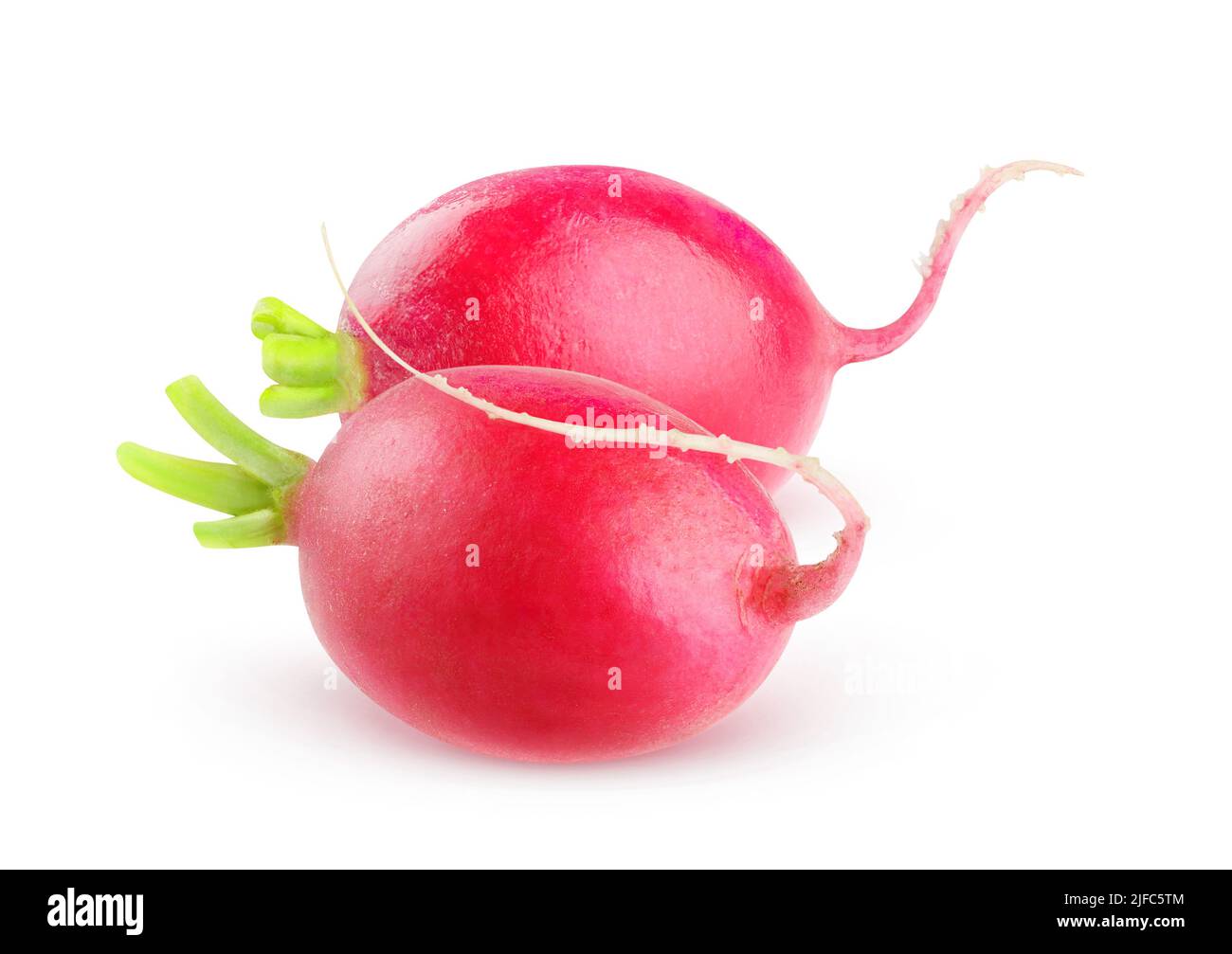 Fresh red radishes isolated on white background Stock Photo