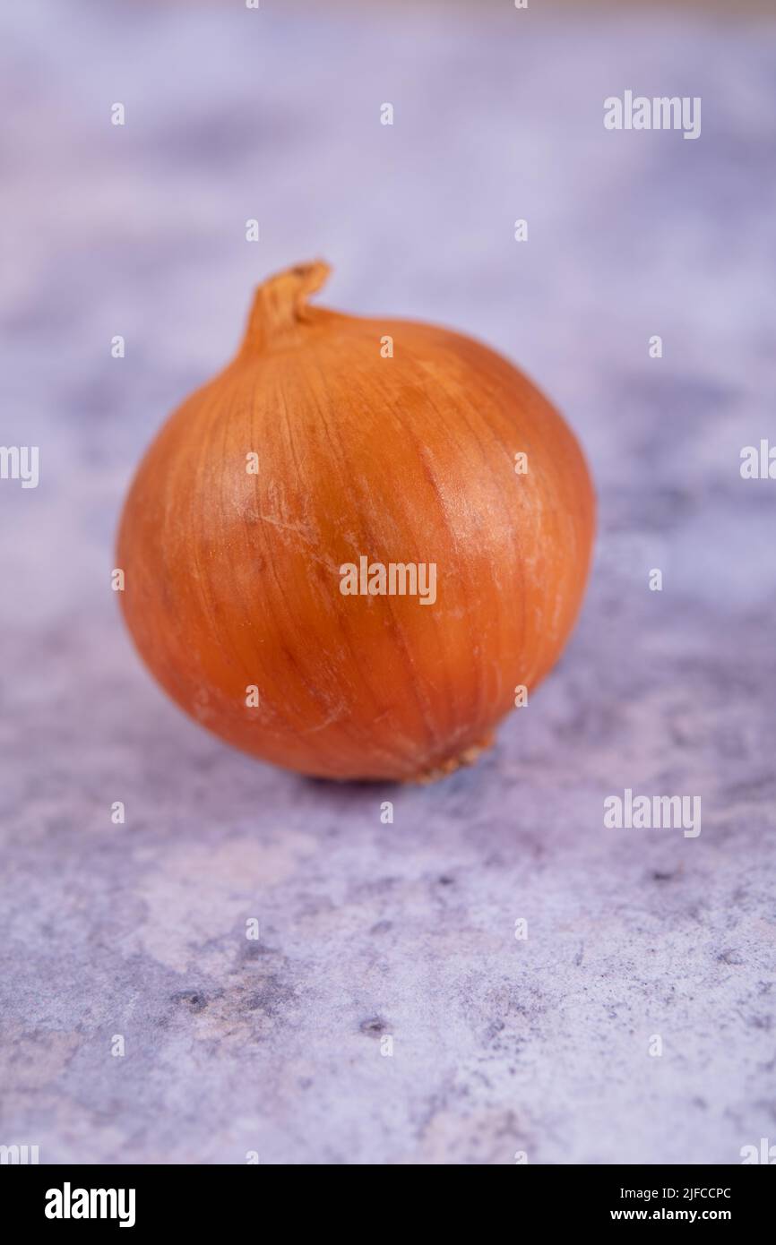 A whole white onion with skin on, against a marble work top surface