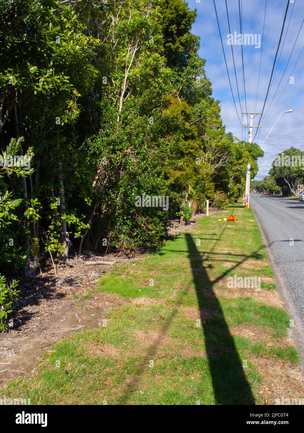 Roadside Grass Berm Stock Photo