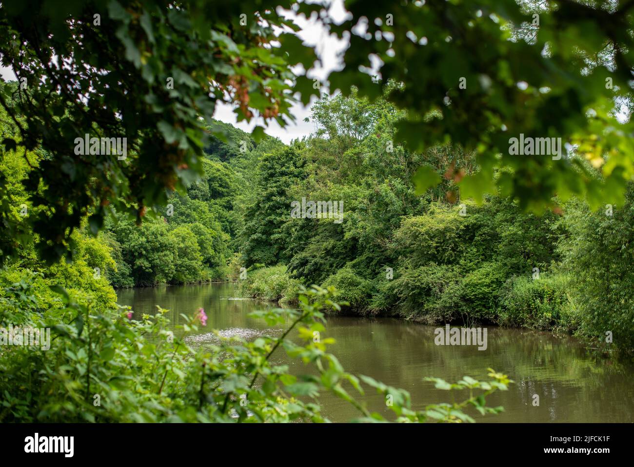 General view of the River Avon towards Bath as it makes it way through Conham River Park in east Bristol on a sunny summer day. Stock Photo