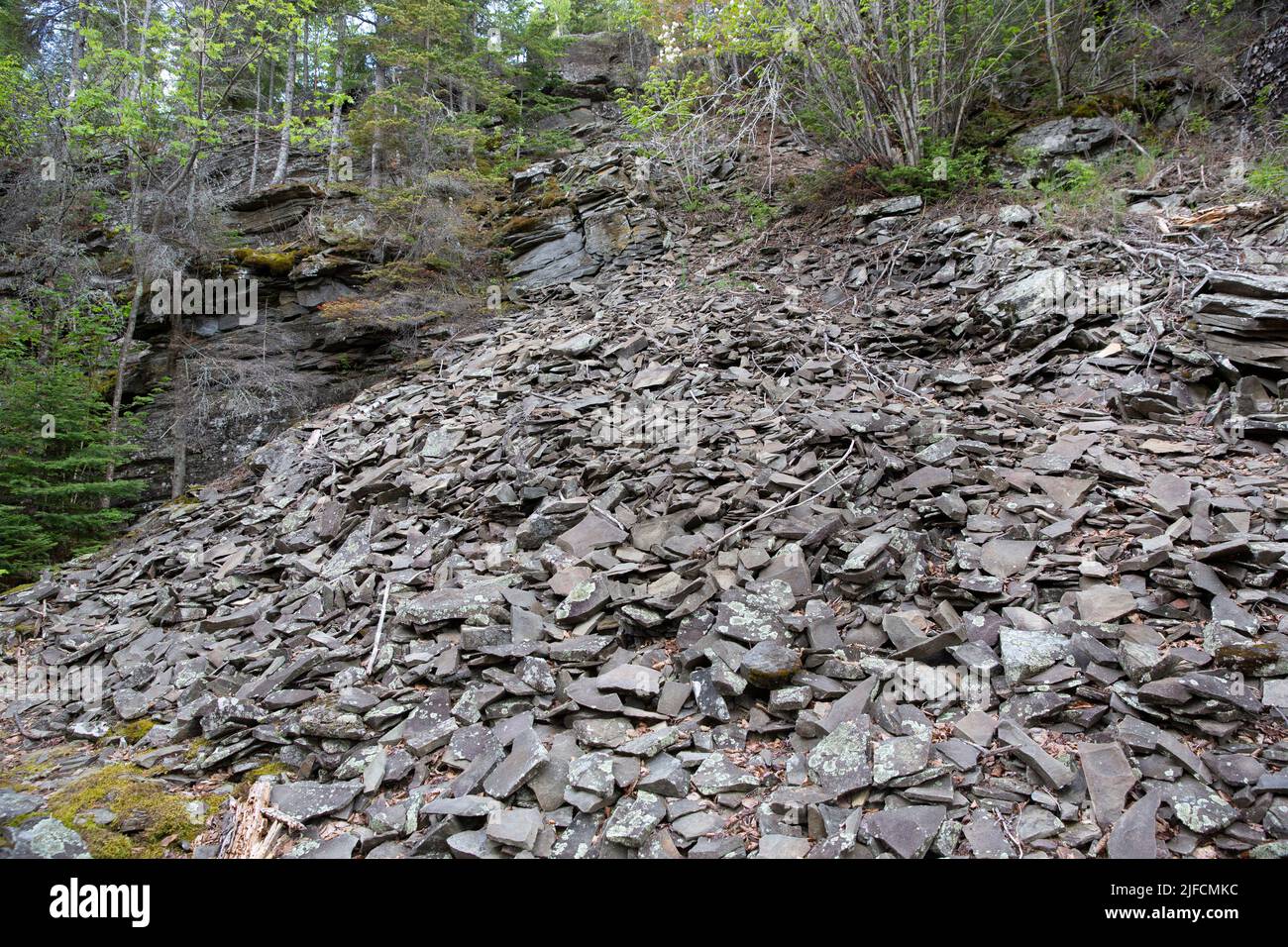 A rock slide of eroded shale and graywacke along a hiking trail on Mount Rose in the Grand Portage National Monument, Cook County, Minnesota, USA Stock Photo