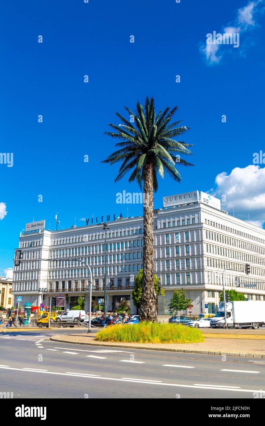 'Greetings from Jerusalem Avenue' palm tree contemporary art sculpture by Joanna Rajkowska on Charles de Gaulle roundabout, Warsaw, Poland Stock Photo