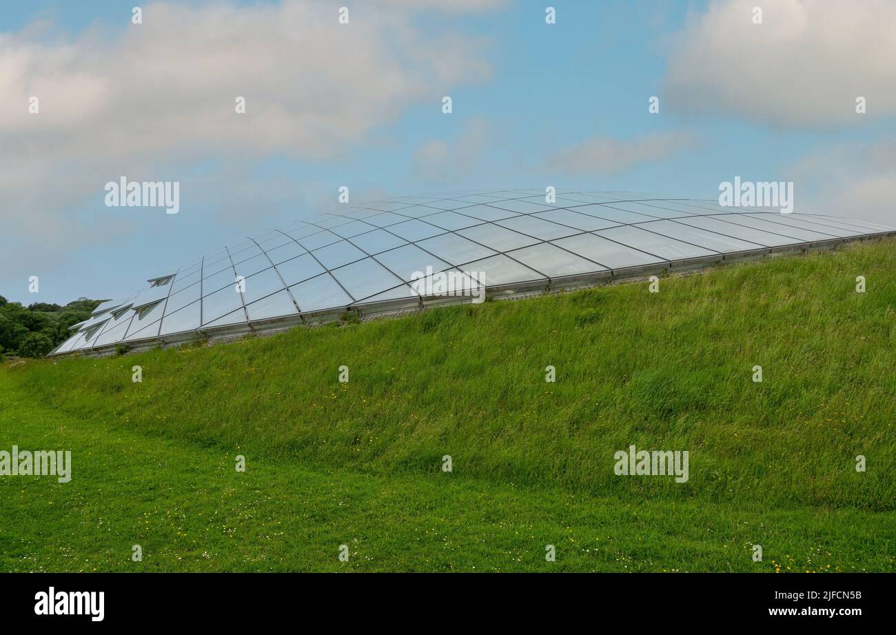 Futuristic conservatory dome of glass panels in steel joists, set into a hillside. Wales Botanic Garden world's largest single span glasshouse Stock Photo