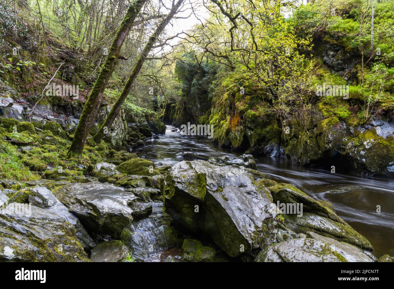 Beautiful Gorge with river The Fairy Glen, Betws-y-Coed, Snowdonia, Wales, UK, landscape and wide angle Stock Photo