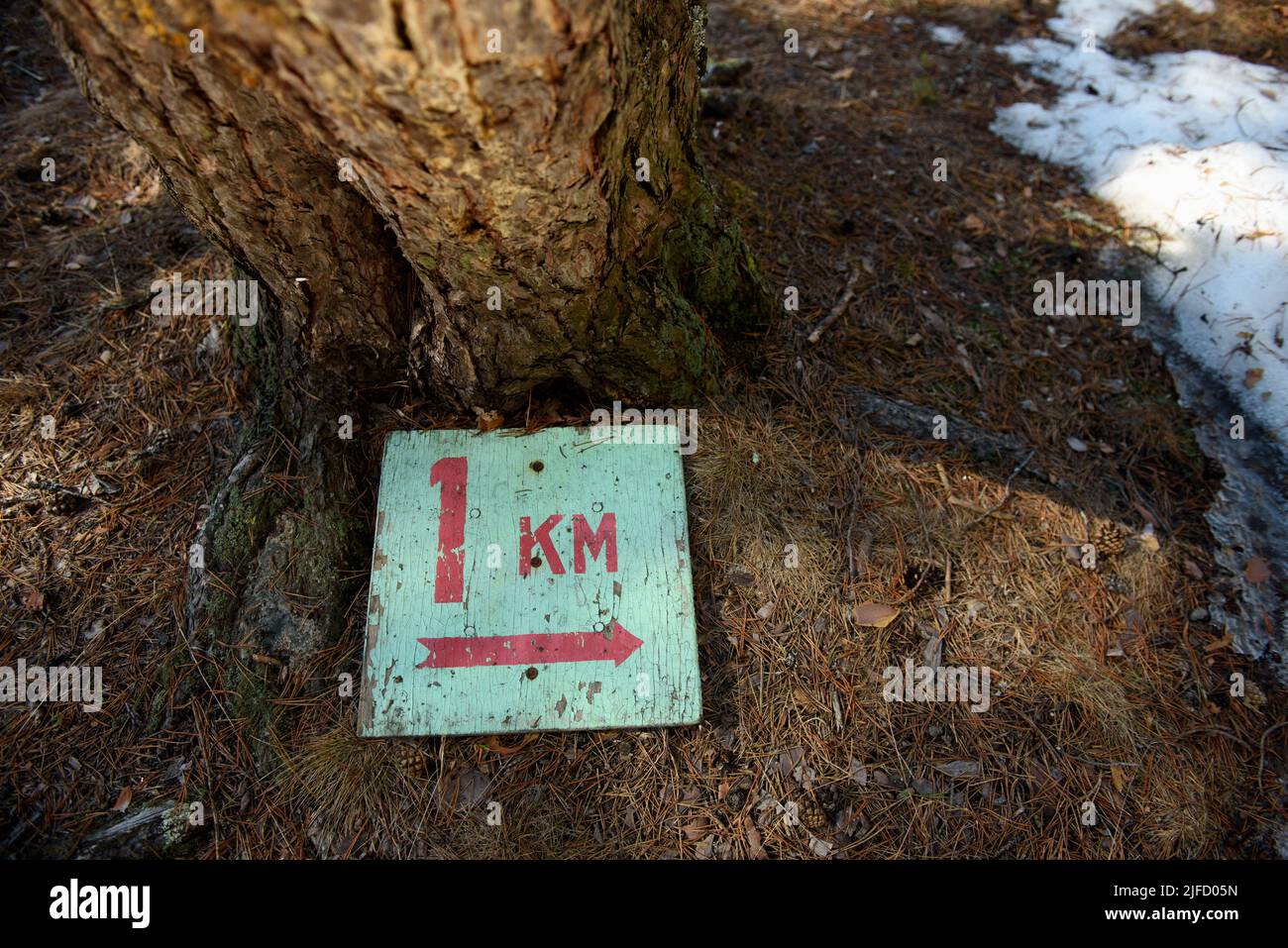 A sign indicating the length of the tourist route 1 kilometer lying on the ground thawed from snow in the forest in mid-spring. Stock Photo