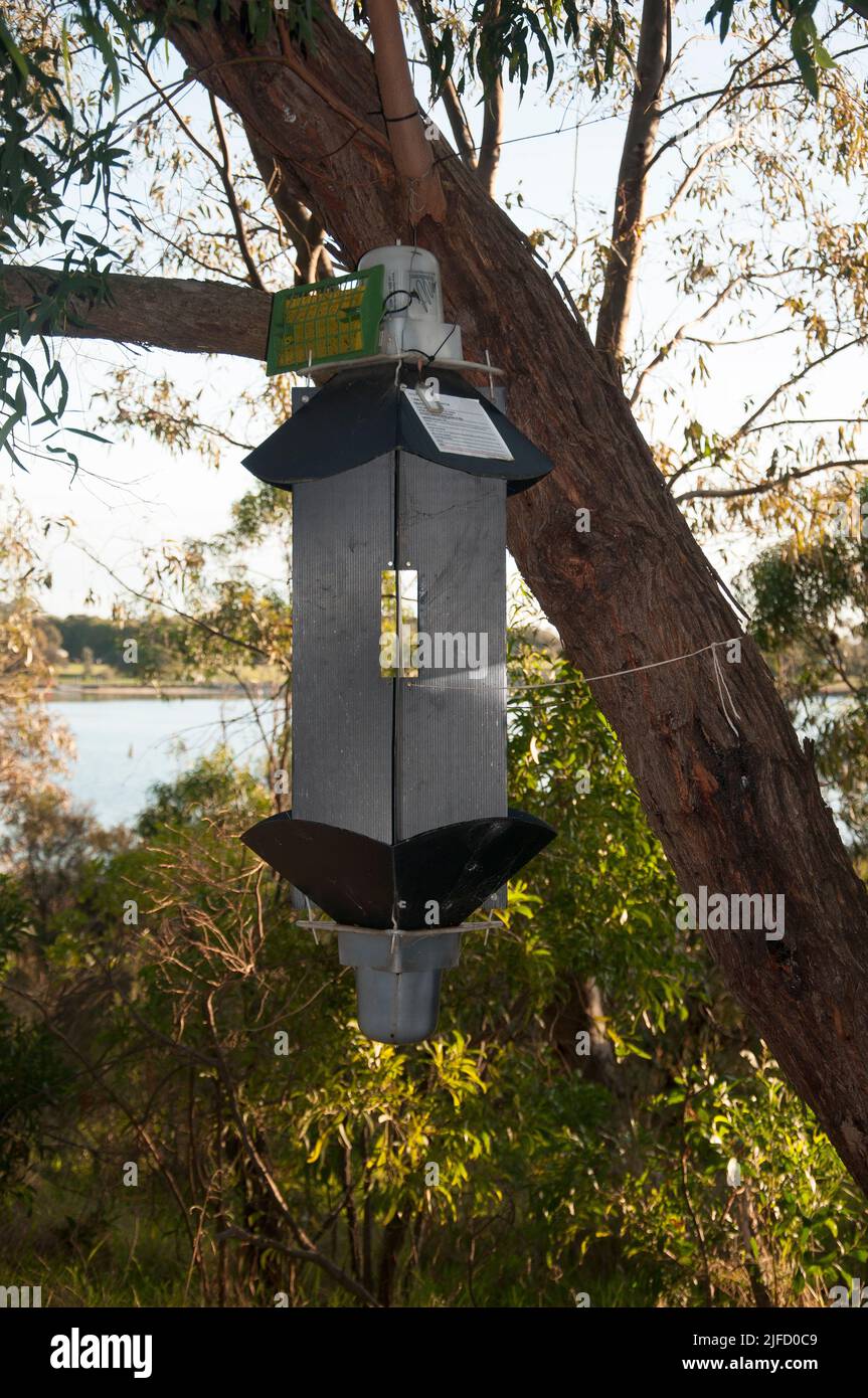 Bird feeder in Karkarook Park, a 15-hectare metropolitan park in Moorabbin, Melbourne, Victoria, Australia, encompassing a man-made wetlands Stock Photo