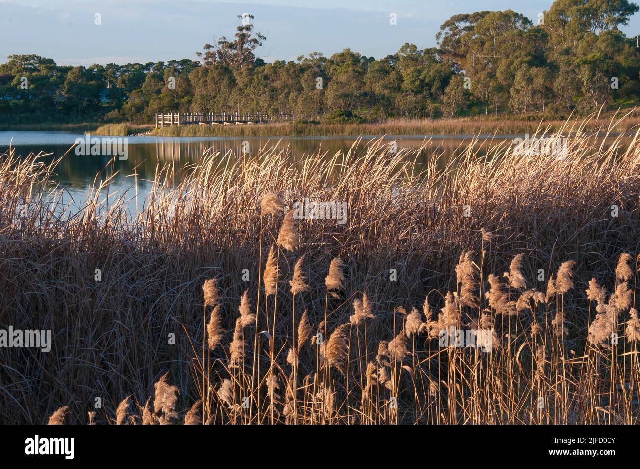 Karkarook Park is a 15-ha. metropolitan park in Moorabbin, Melbourne, Victoria, Australia, encompassing a man-made wetlands and lake stocked with fish Stock Photo