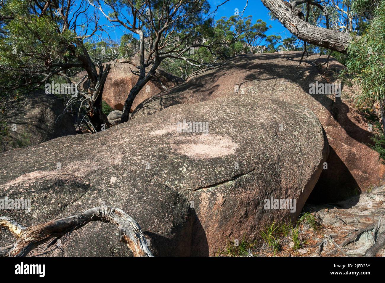 Enormous granite boulders adjacent to the Wineglass Bay Track within Freycinet National Park in Tasmania, Australia. Stock Photo