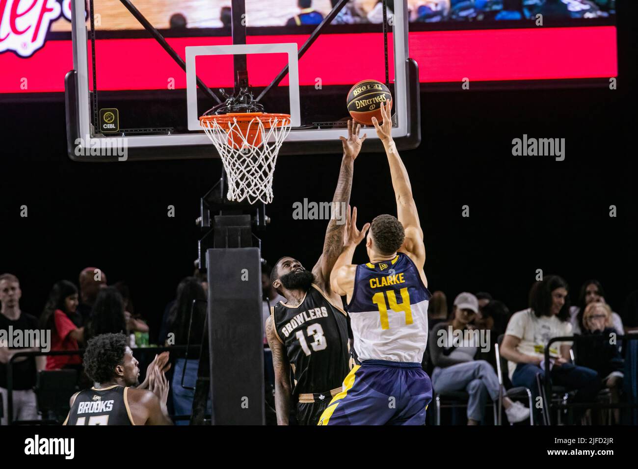 Edmonton's #14 Brody Clarke (forward) and Newfoundland's #13 Terry Thomas (Guard) seen in action during the Edmonton Stingers rout of the Newfoundland Growlers in Canadian Elite Basketball Action with a historic victory. Edmonton Stingers 120-69  Fraser Valley Bandits. Stock Photo