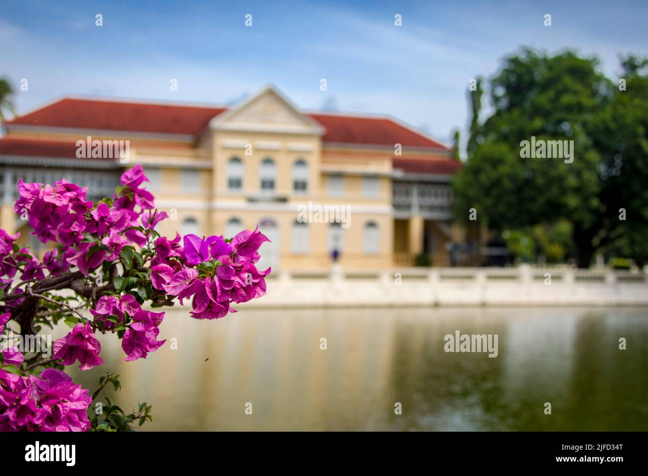 The closeup image of flower. The bokeh background is The Phra Thinang Warophat Phiman or “Excellent and Shining Heavenly Abode” in Bang Pa-In Palace Stock Photo
